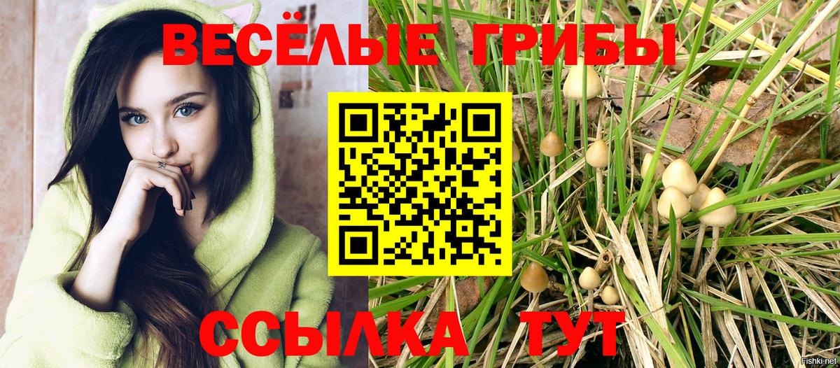 Галлюциногенные грибы Psilocybe Нефтекумск